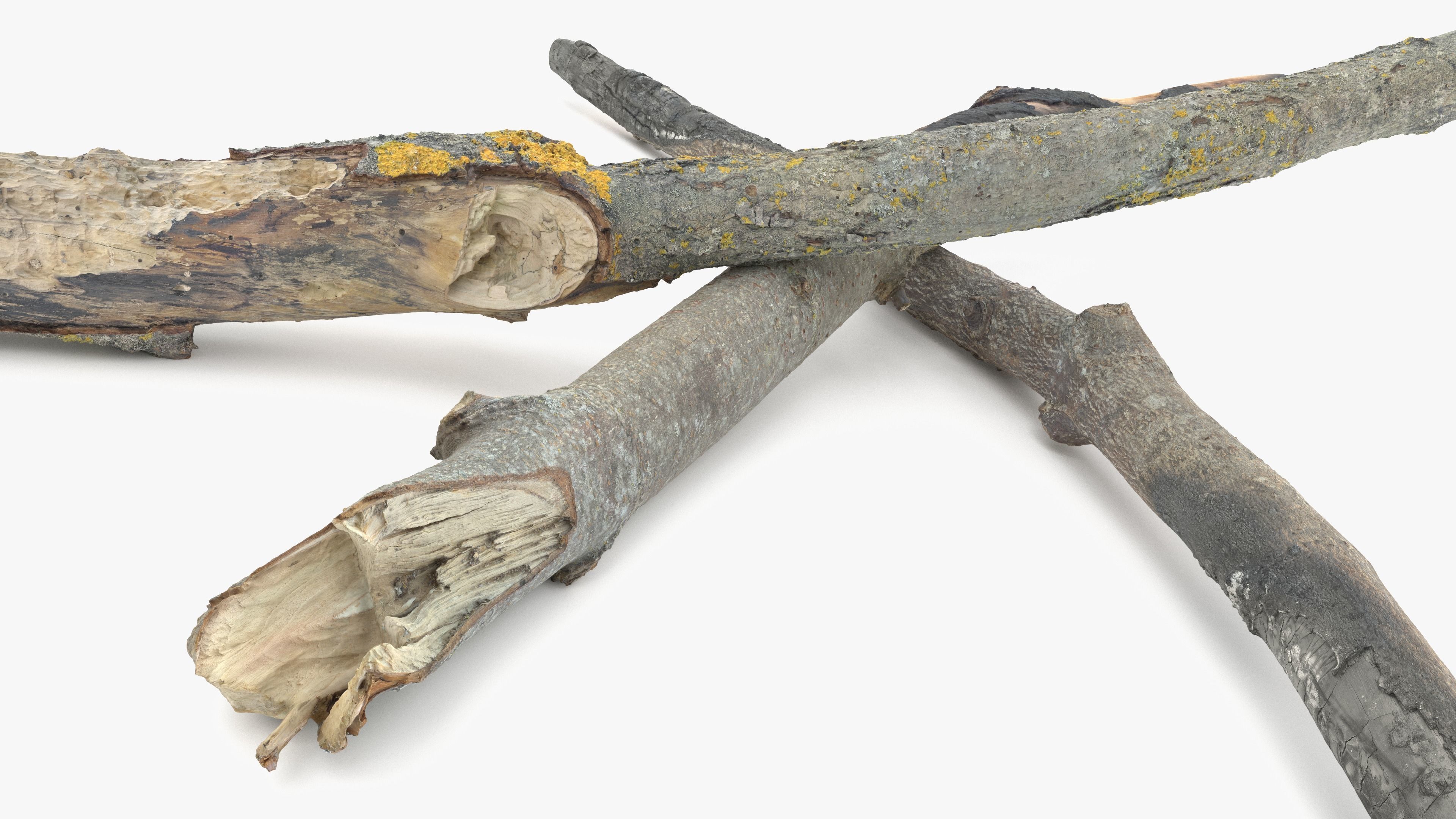 Burned Broken Branches Low-poly 3D model_14