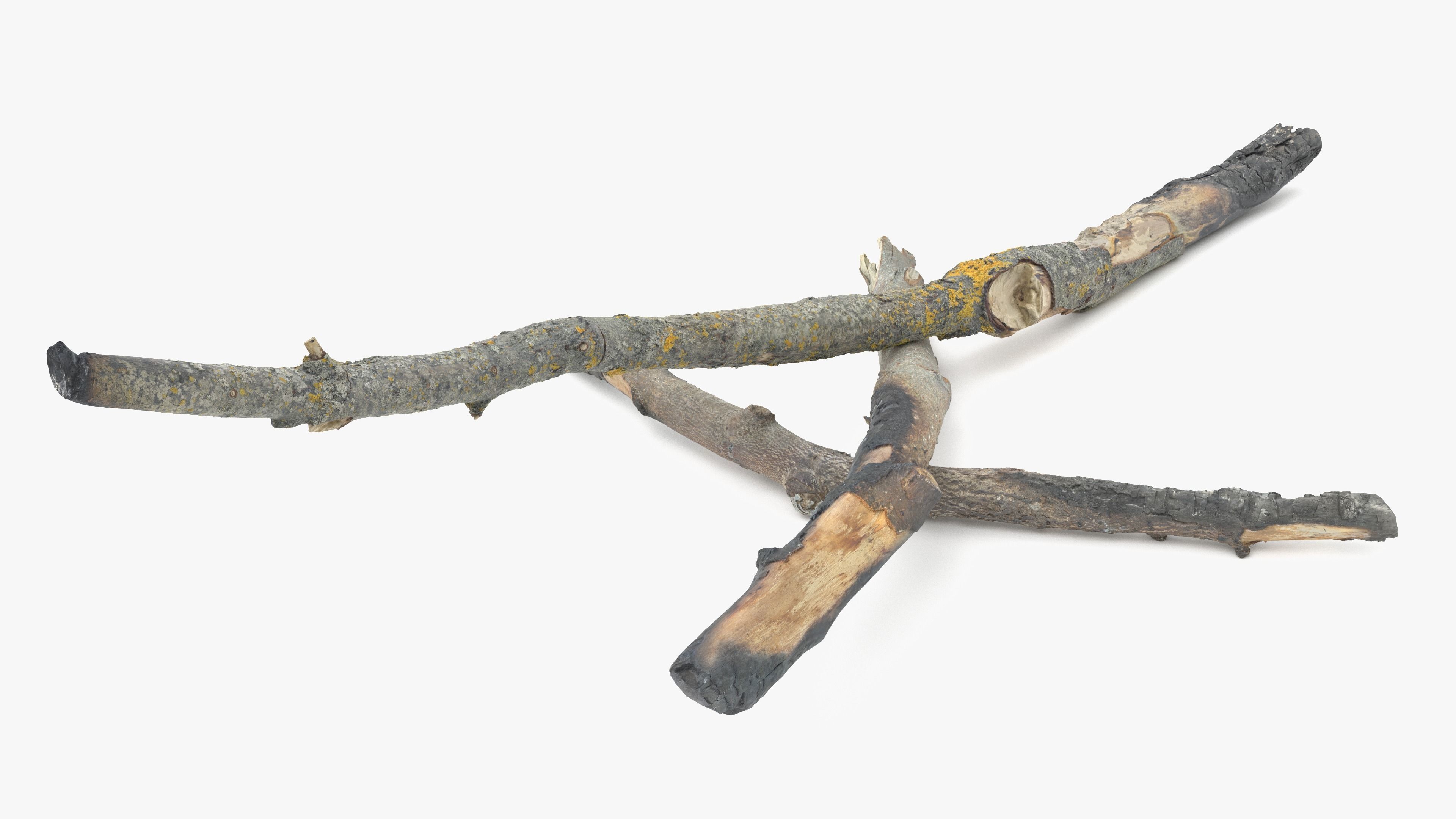 Burned Broken Branches Low-poly 3D model_19
