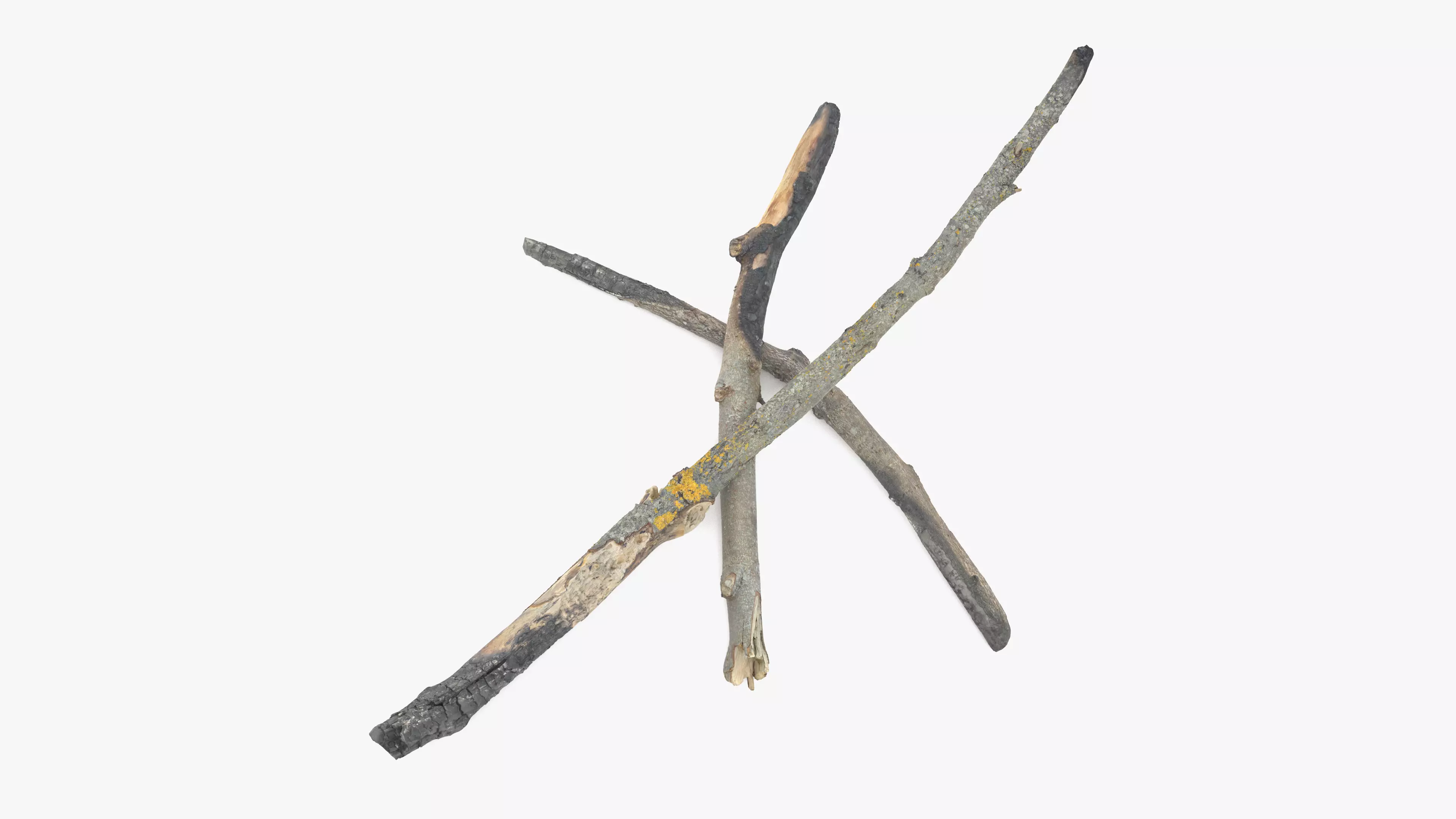 Burned Broken Branches Low-poly 3D model_0