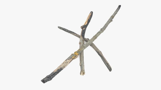 Burned Broken Branches Low-poly 3D model