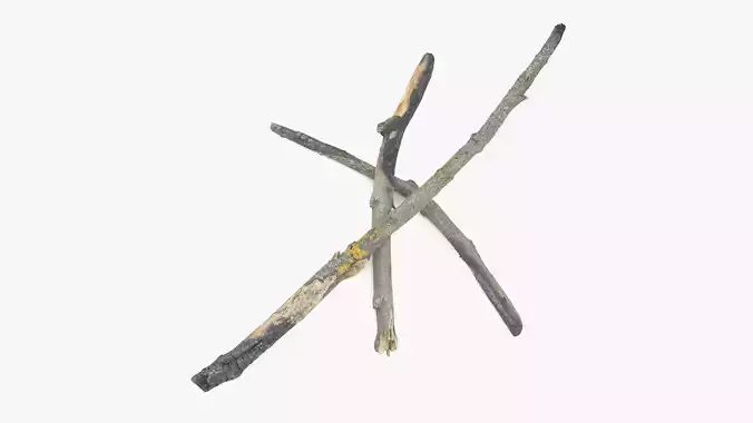 Burned Broken Branches Low-poly 3D model