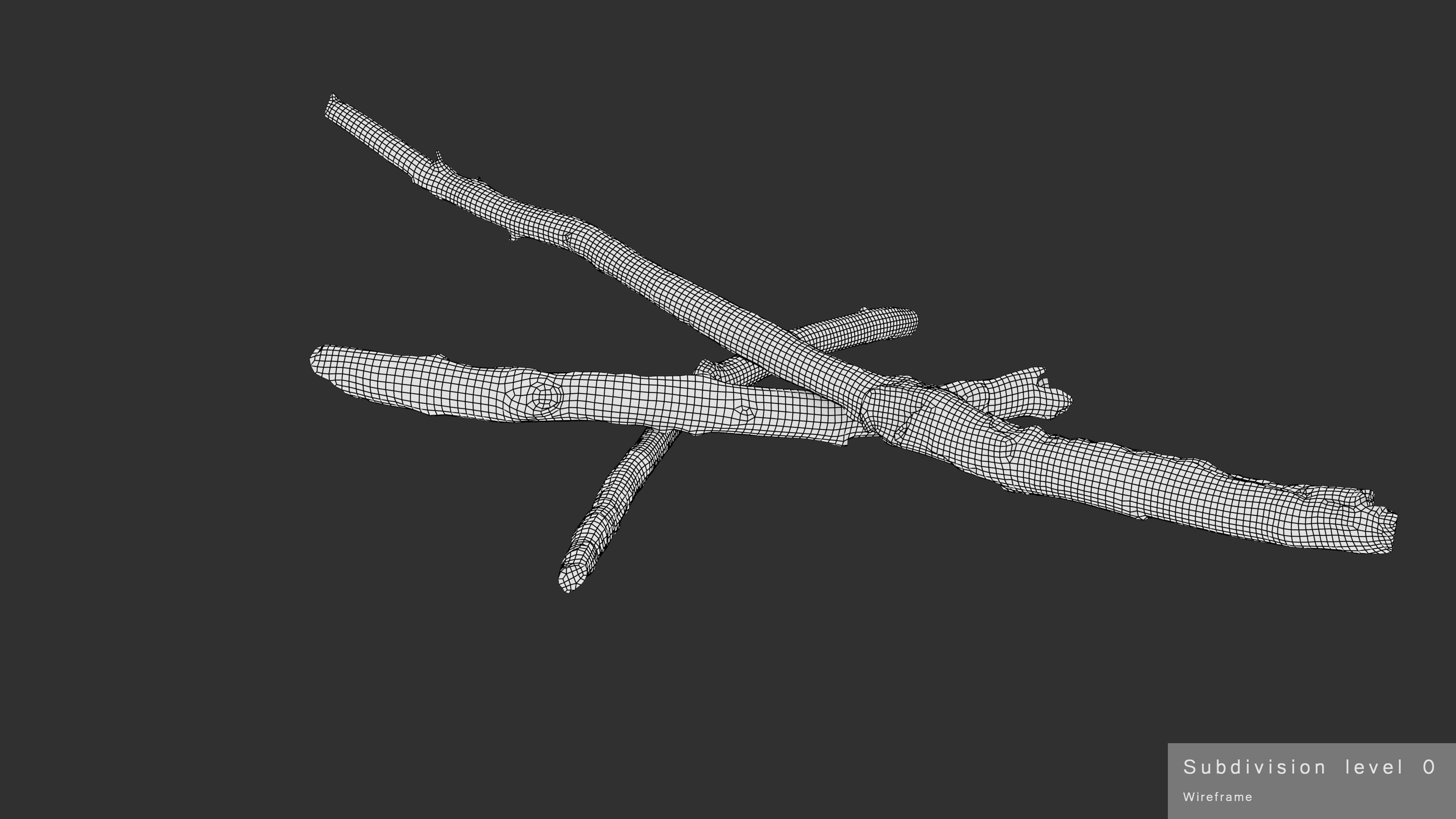 Burned Broken Branches Low-poly 3D model_38