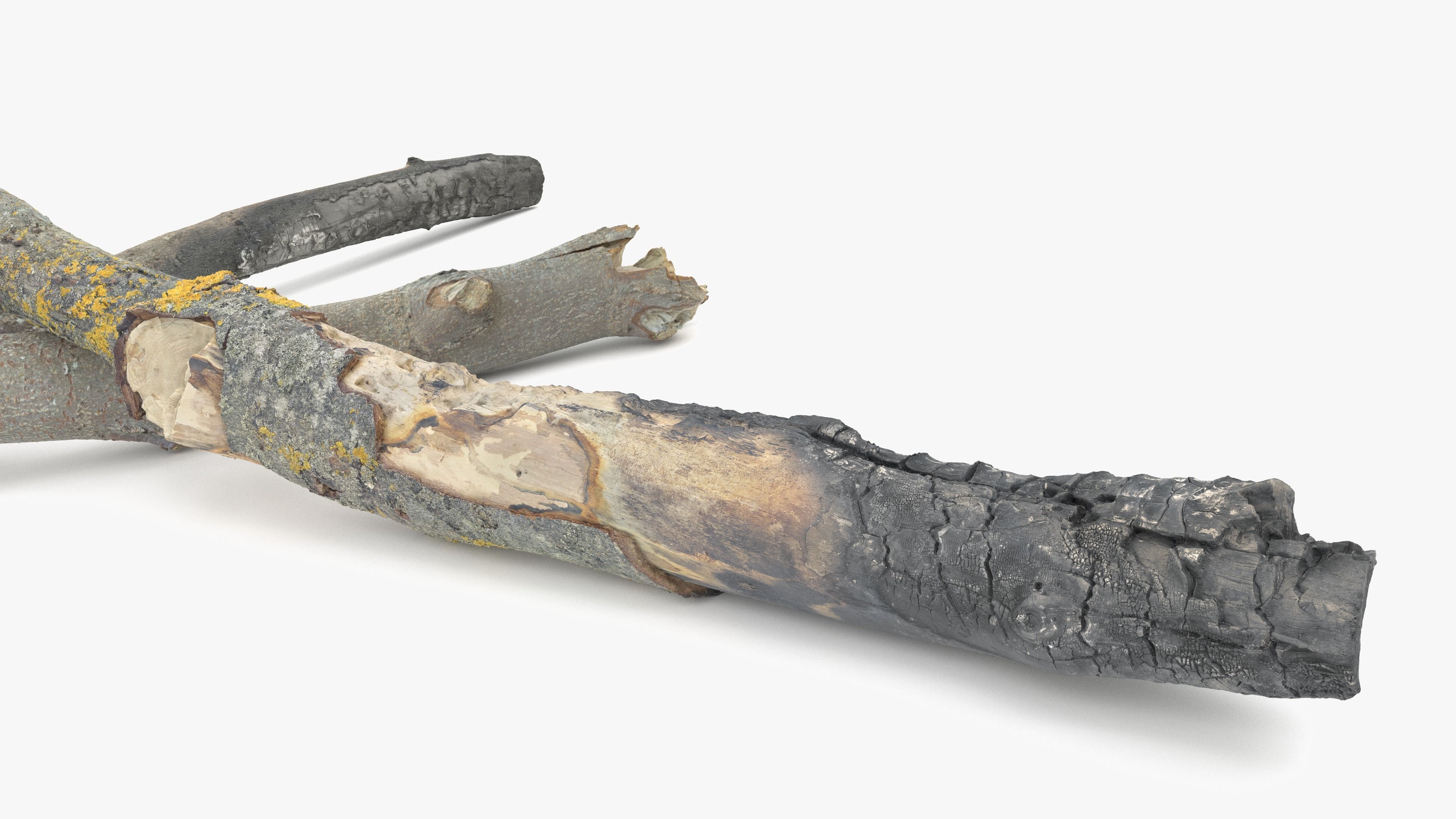 Burned Broken Branches Low-poly 3D model_12