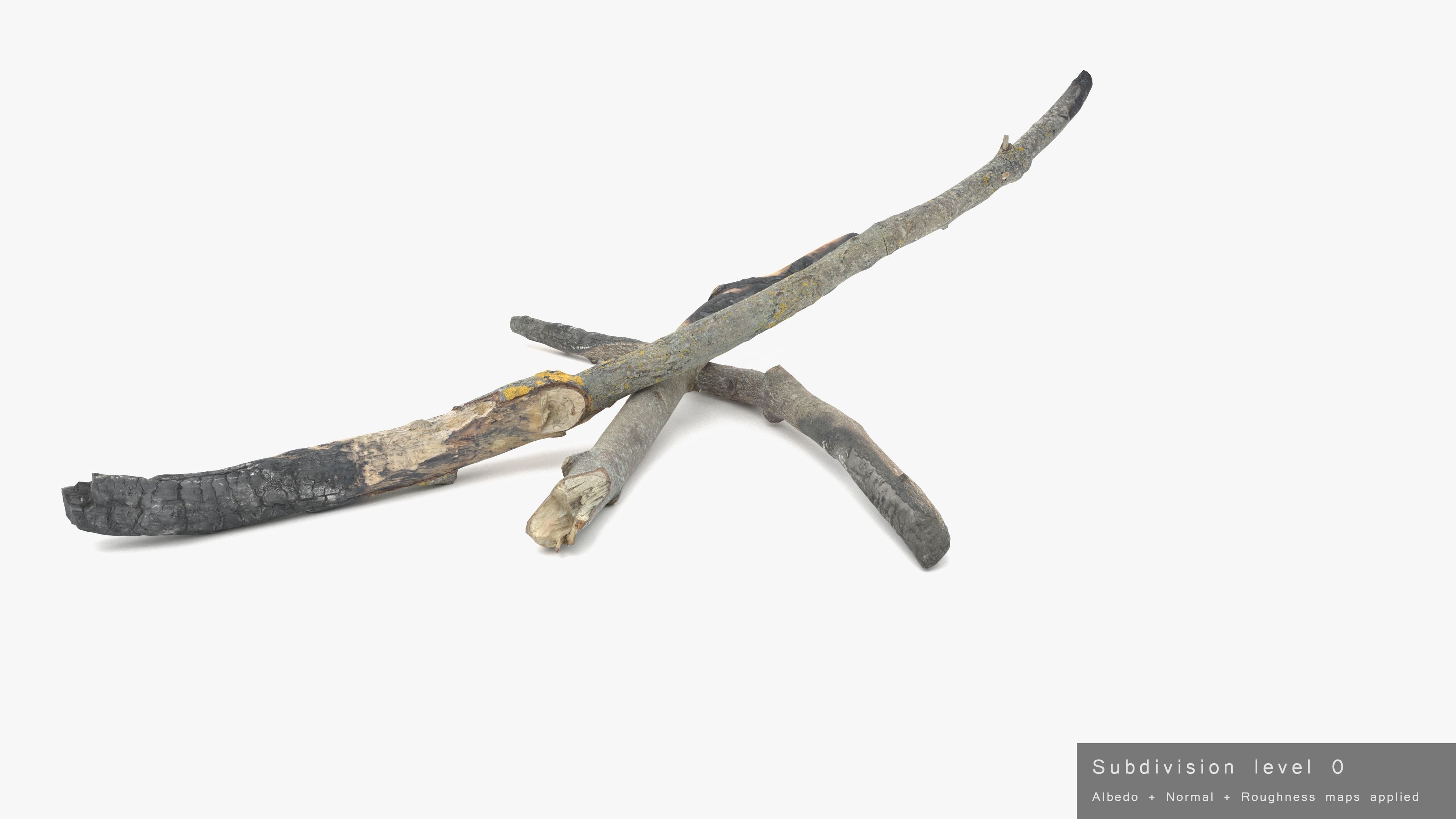 Burned Broken Branches Low-poly 3D model_30