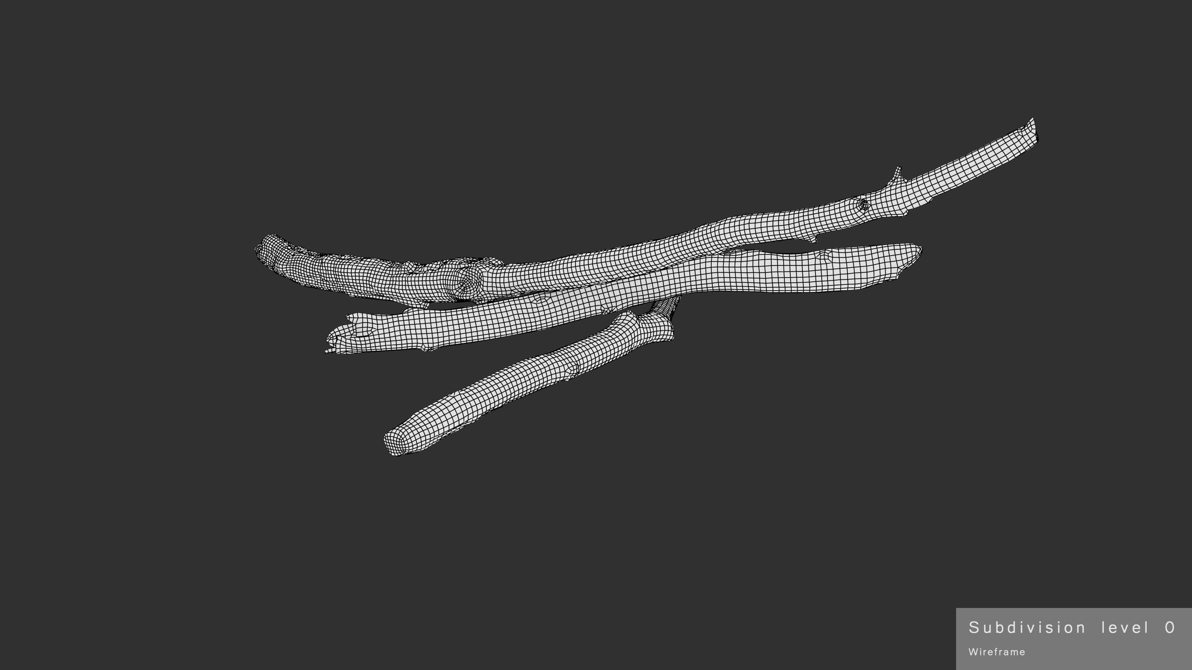 Burned Broken Branches Low-poly 3D model_41