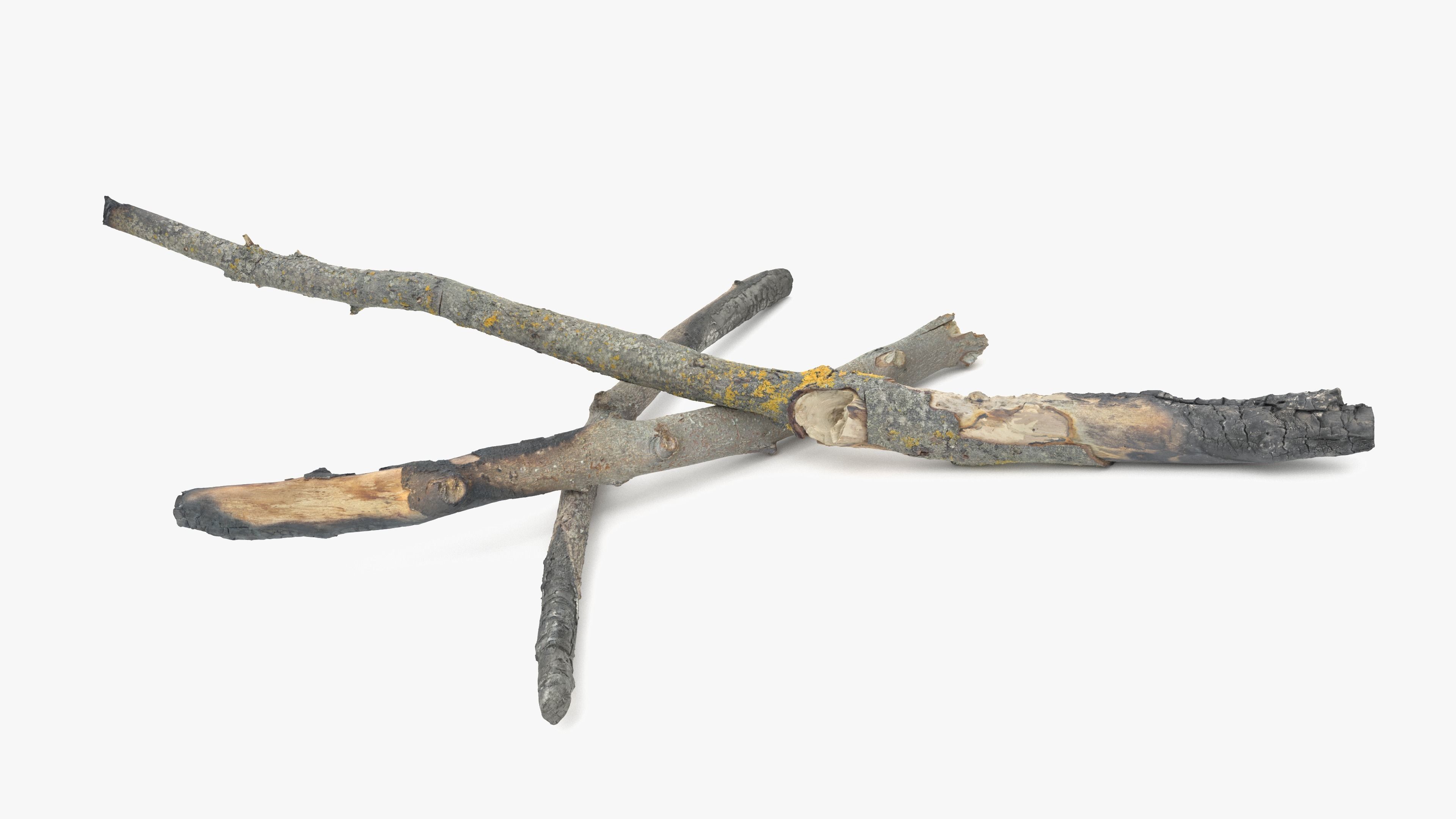 Burned Broken Branches Low-poly 3D model_18