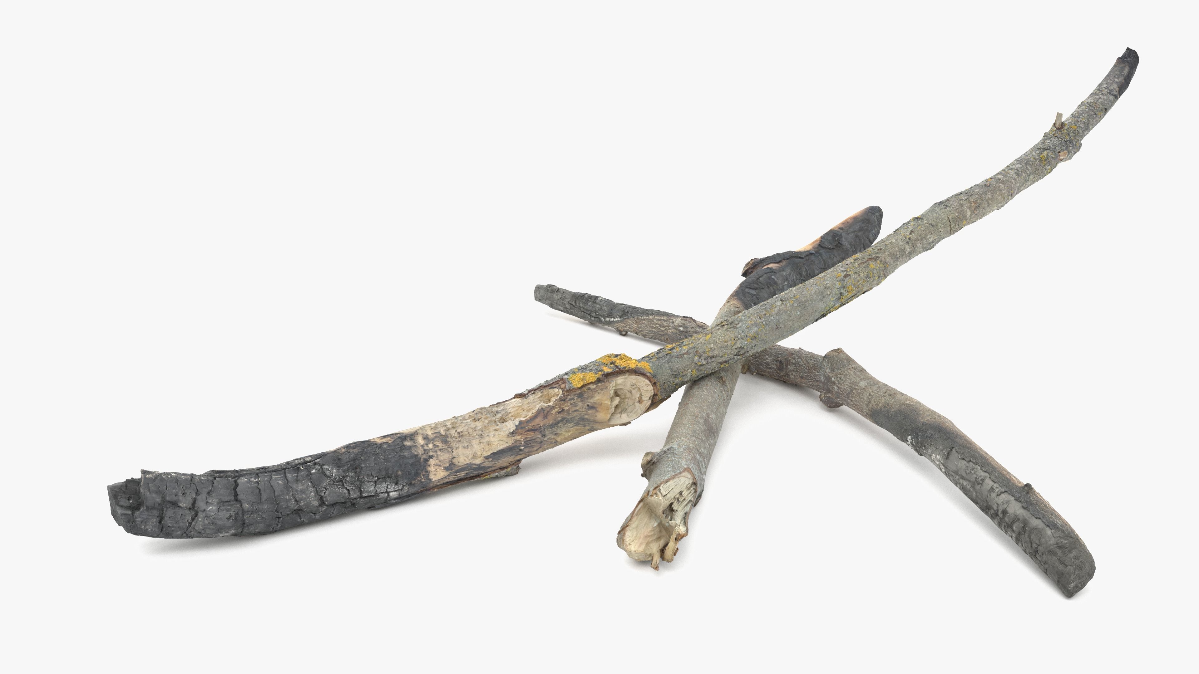 Burned Broken Branches Low-poly 3D model_1
