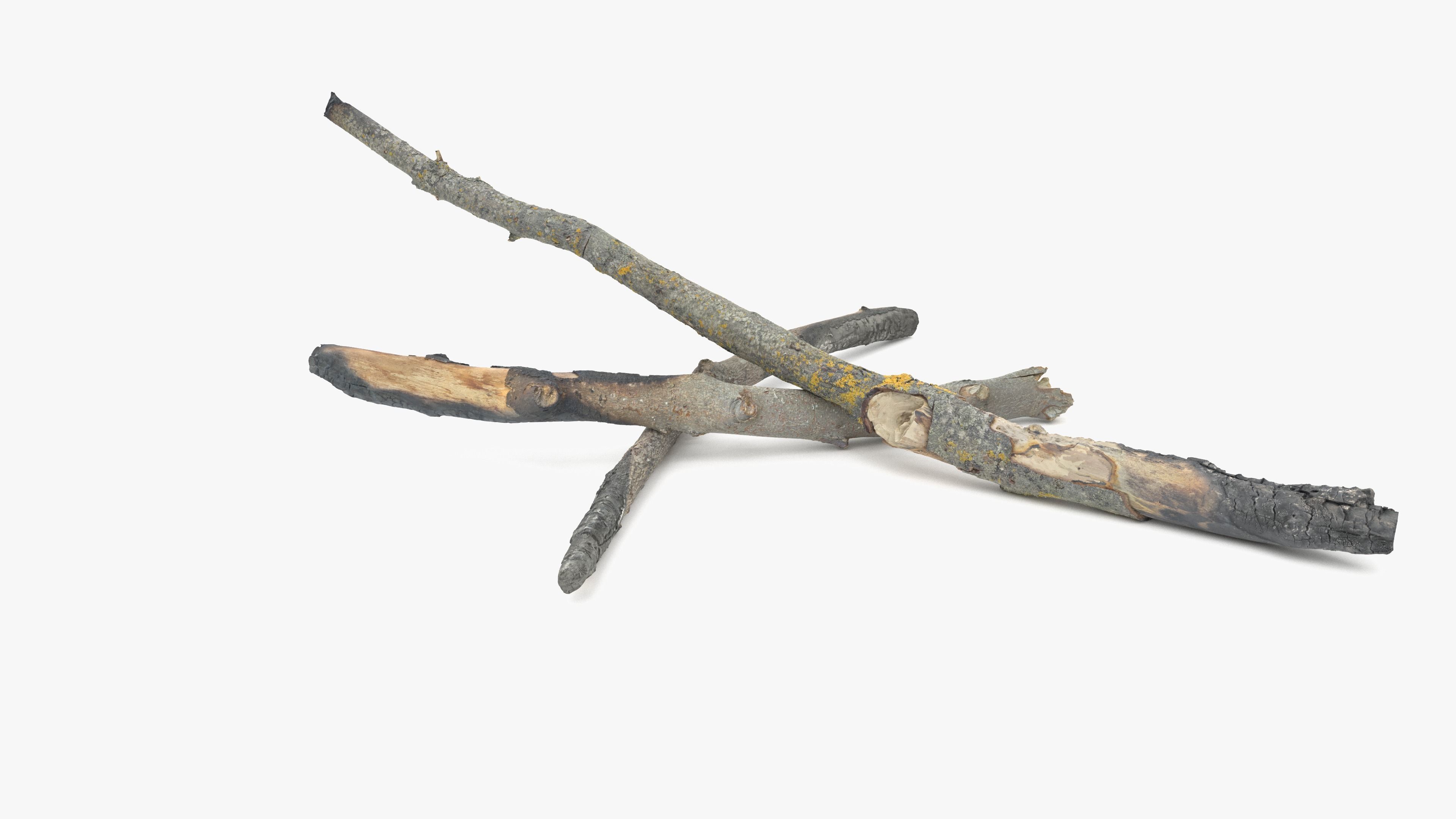 Burned Broken Branches Low-poly 3D model_25
