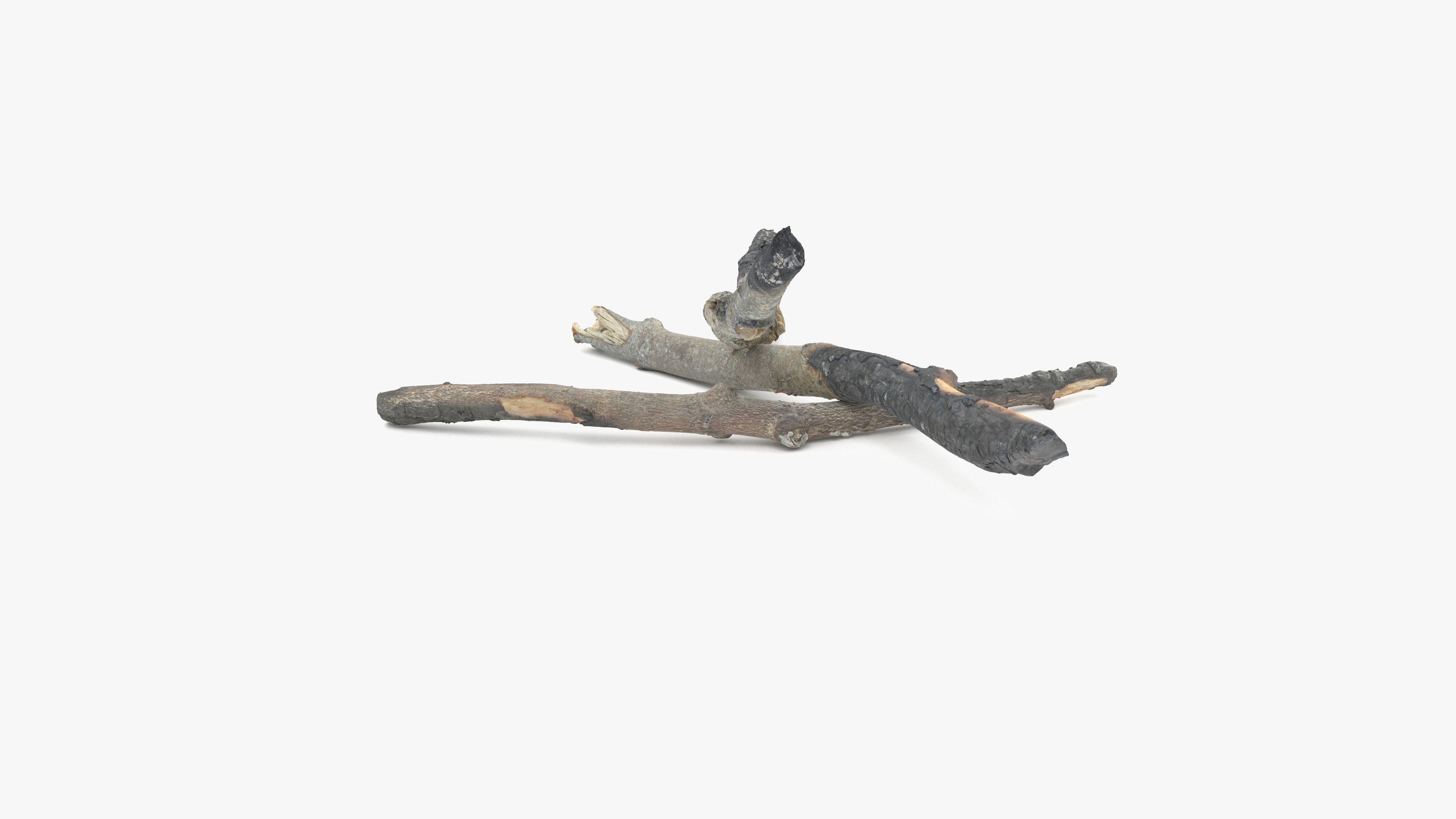 Burned Broken Branches Low-poly 3D model_27