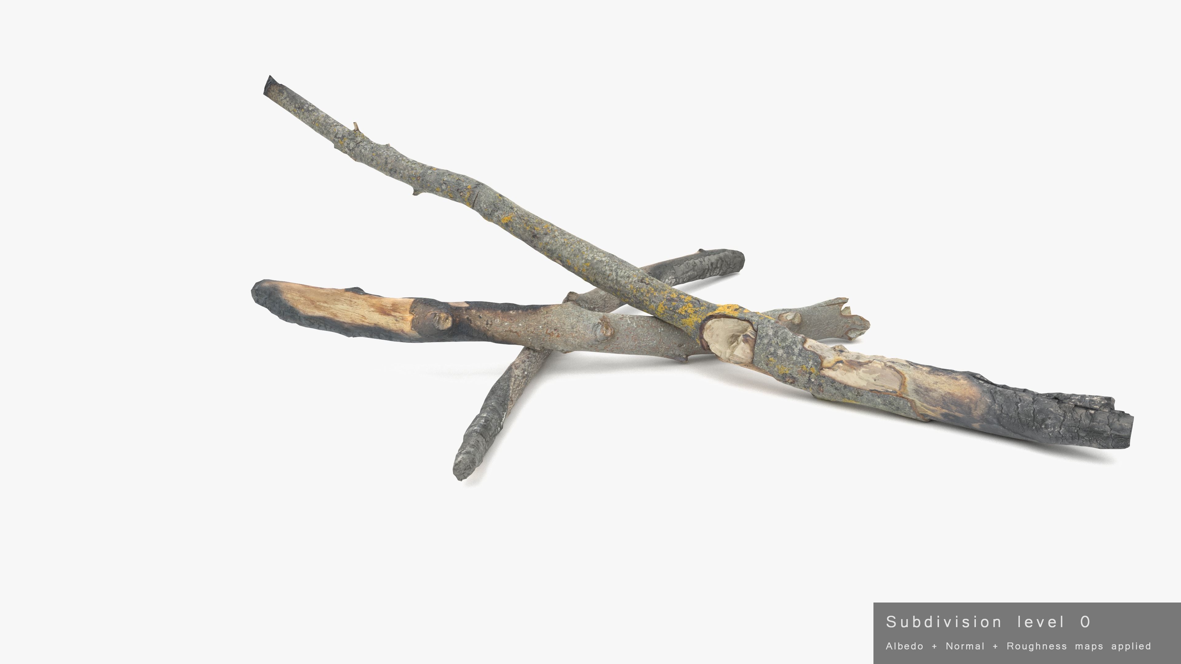 Burned Broken Branches Low-poly 3D model_32
