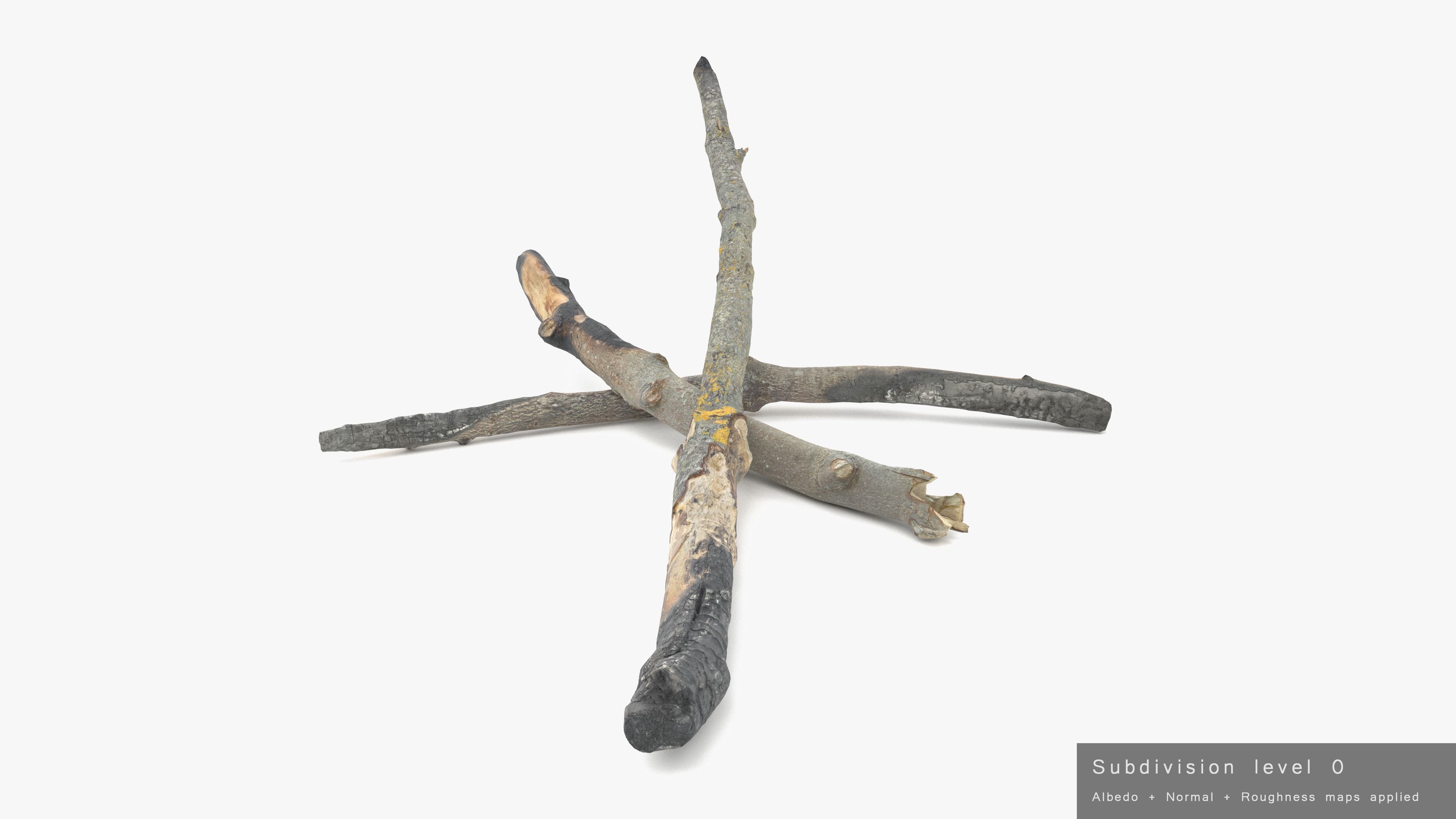 Burned Broken Branches Low-poly 3D model_31