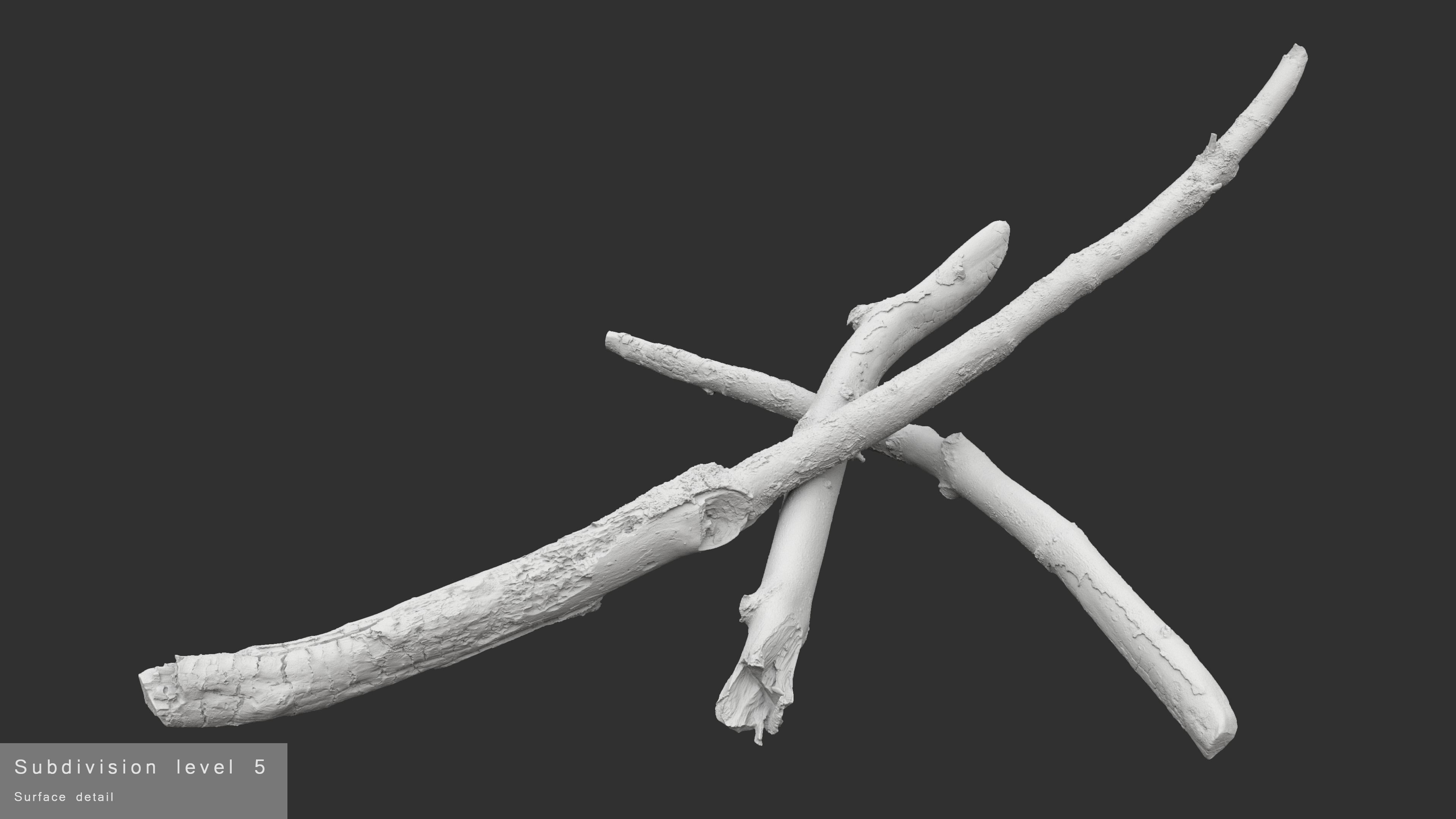 Burned Broken Branches Low-poly 3D model_29