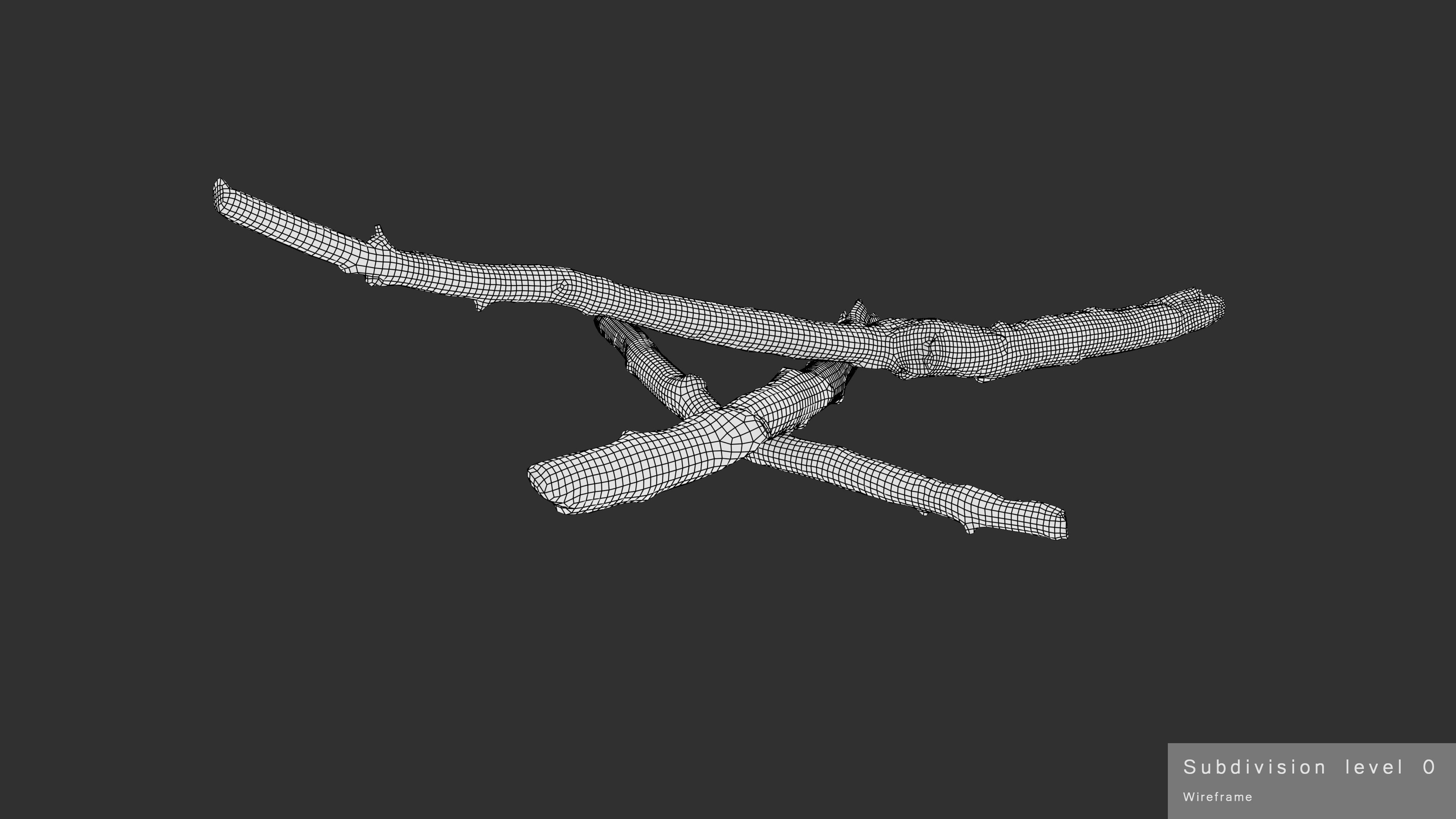 Burned Broken Branches Low-poly 3D model_39
