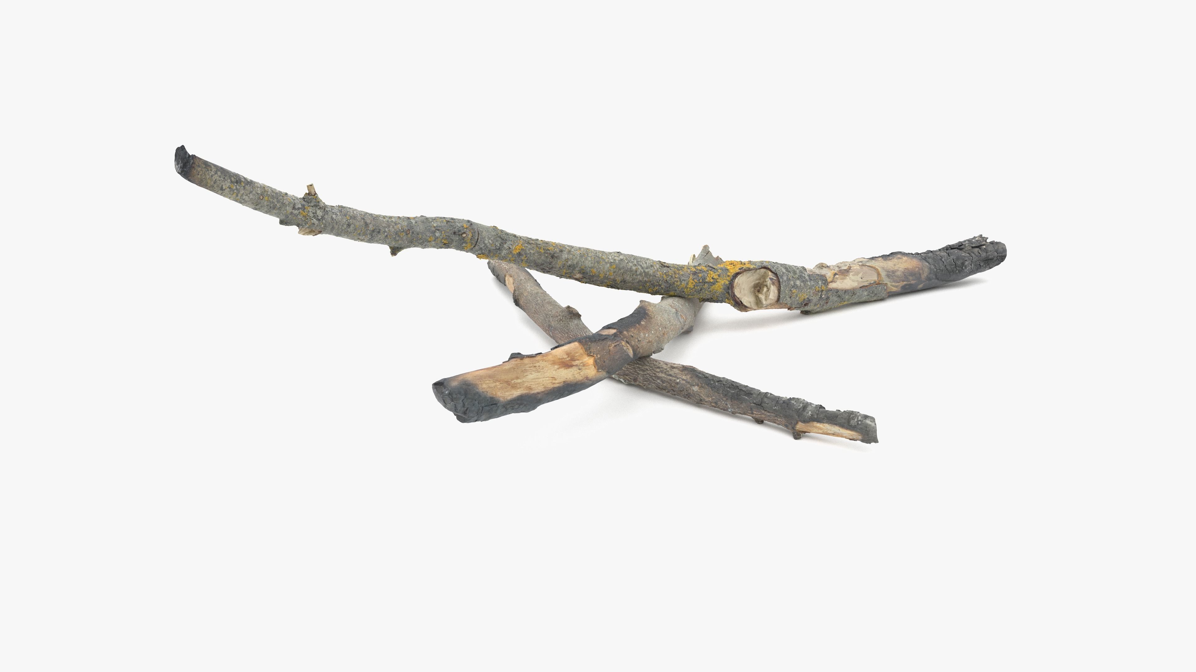 Burned Broken Branches Low-poly 3D model_26