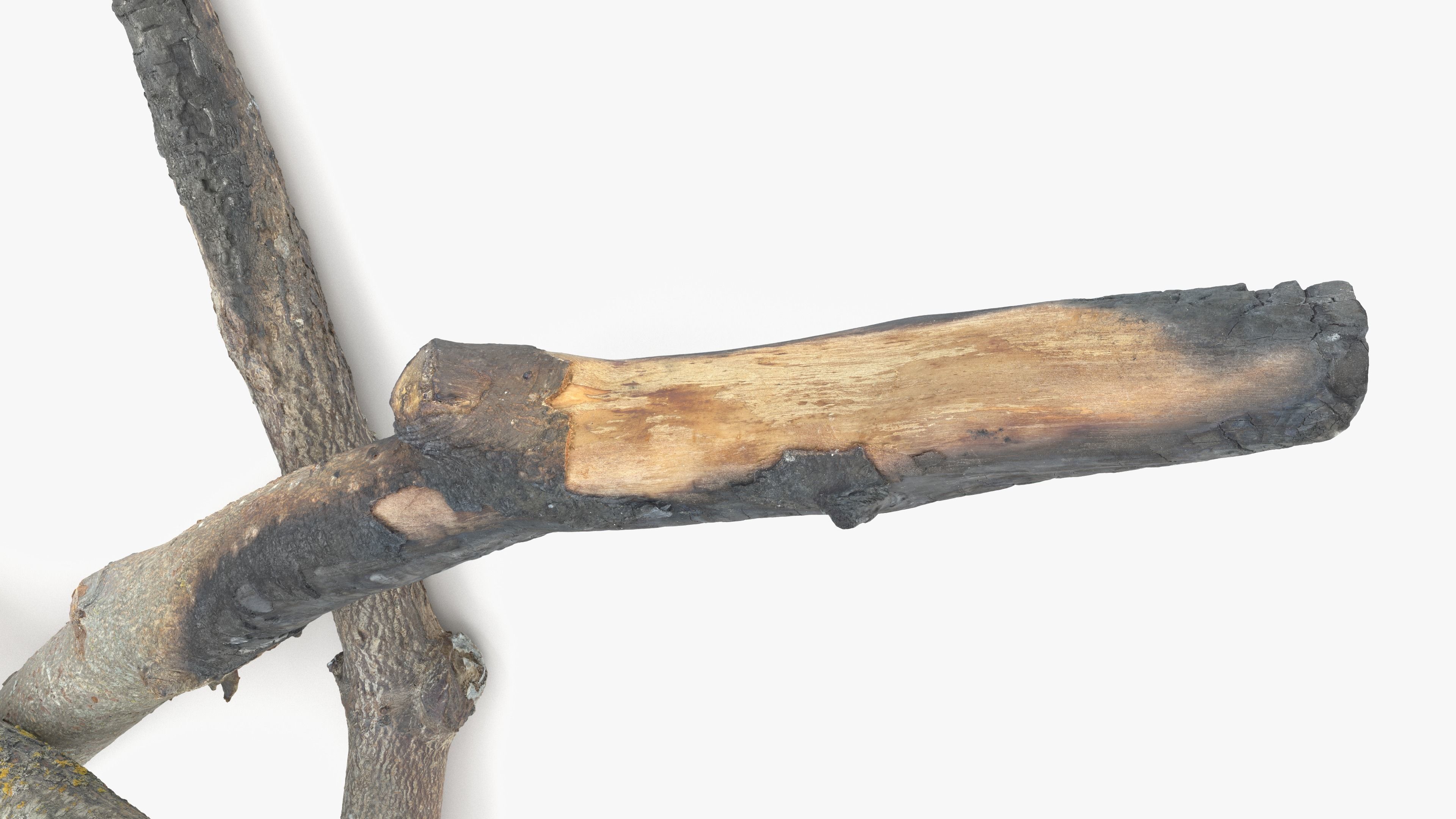 Burned Broken Branches Low-poly 3D model_8