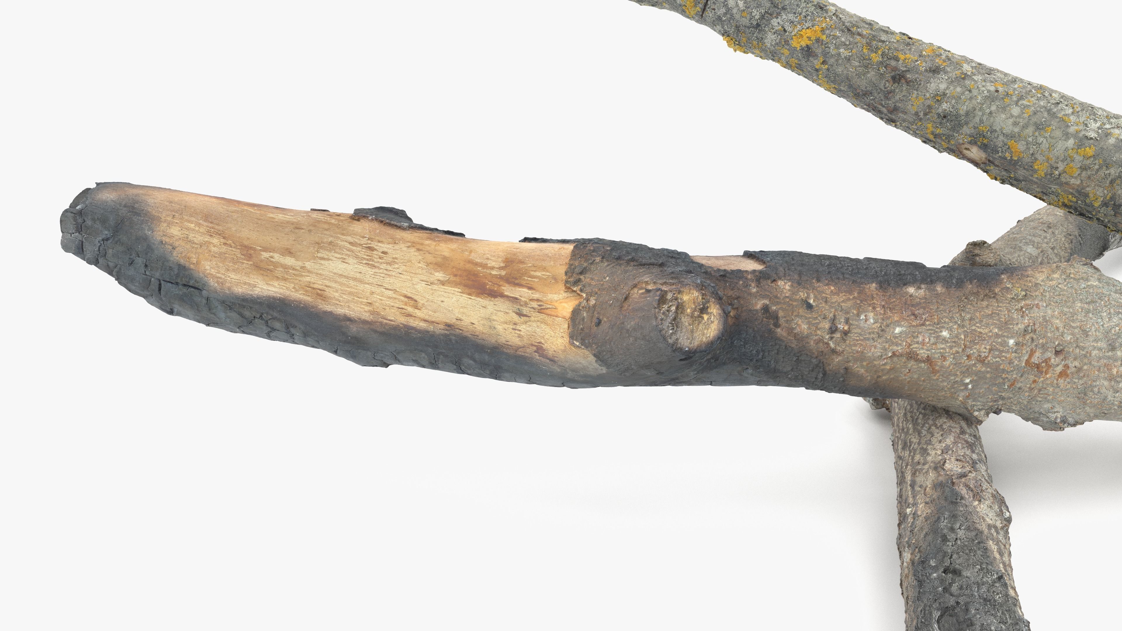 Burned Broken Branches Low-poly 3D model_10