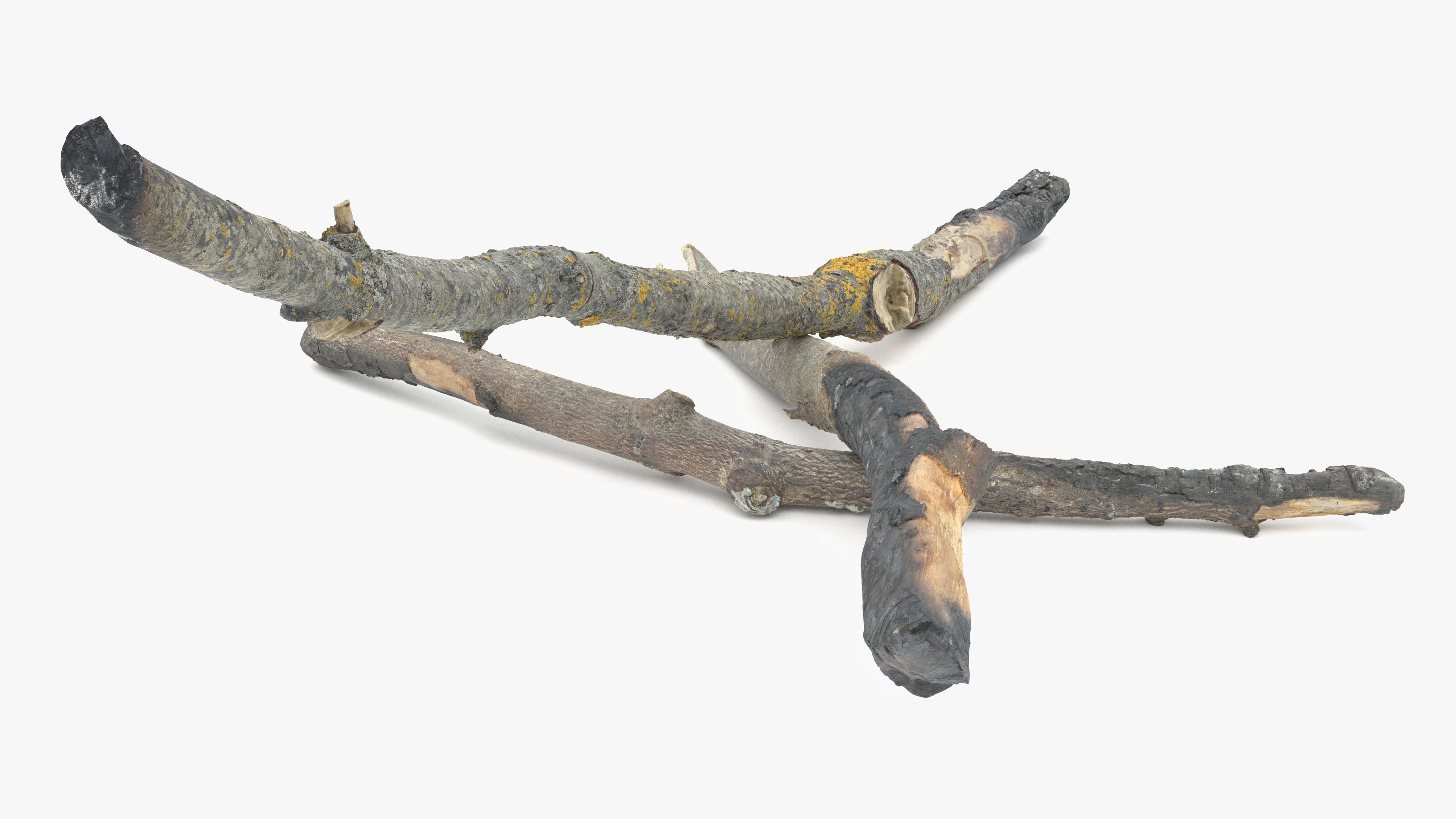 Burned Broken Branches Low-poly 3D model_21
