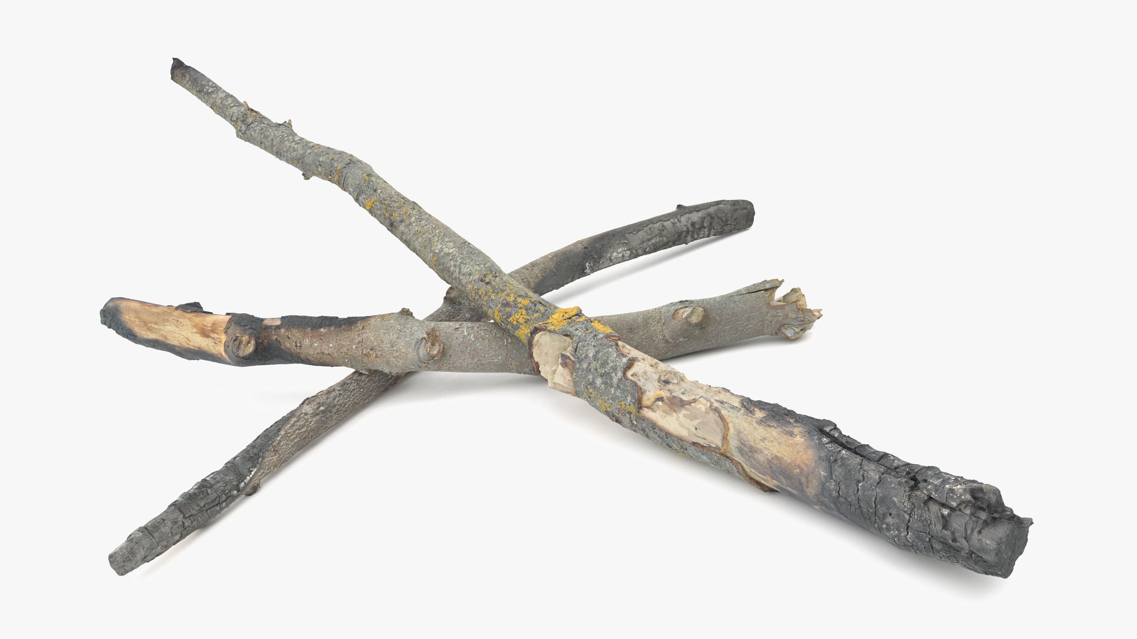 Burned Broken Branches Low-poly 3D model_2