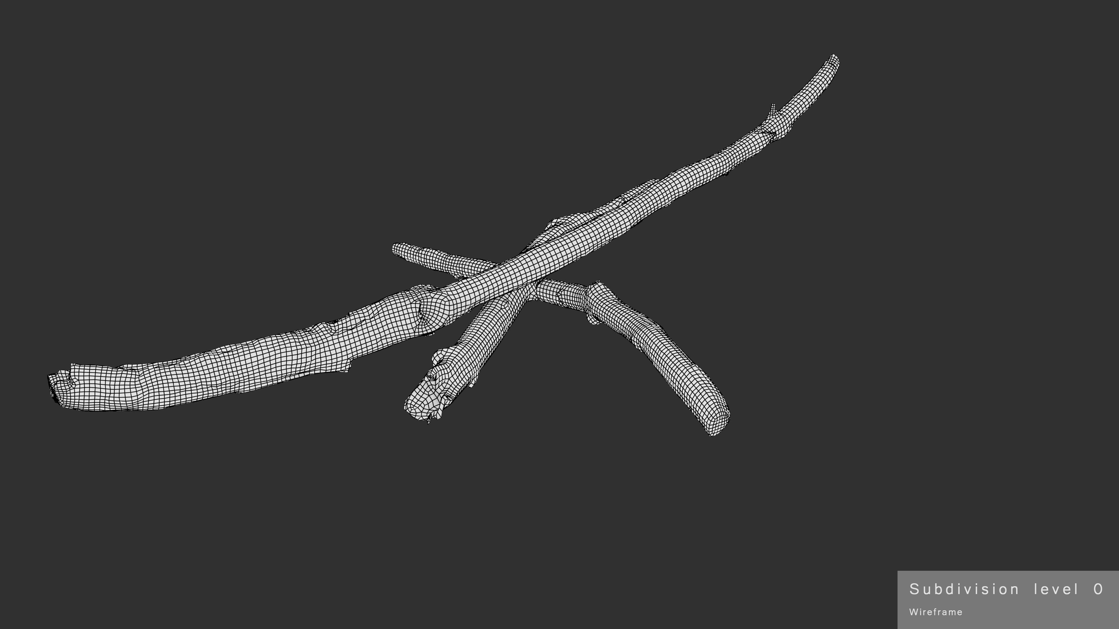Burned Broken Branches Low-poly 3D model_36
