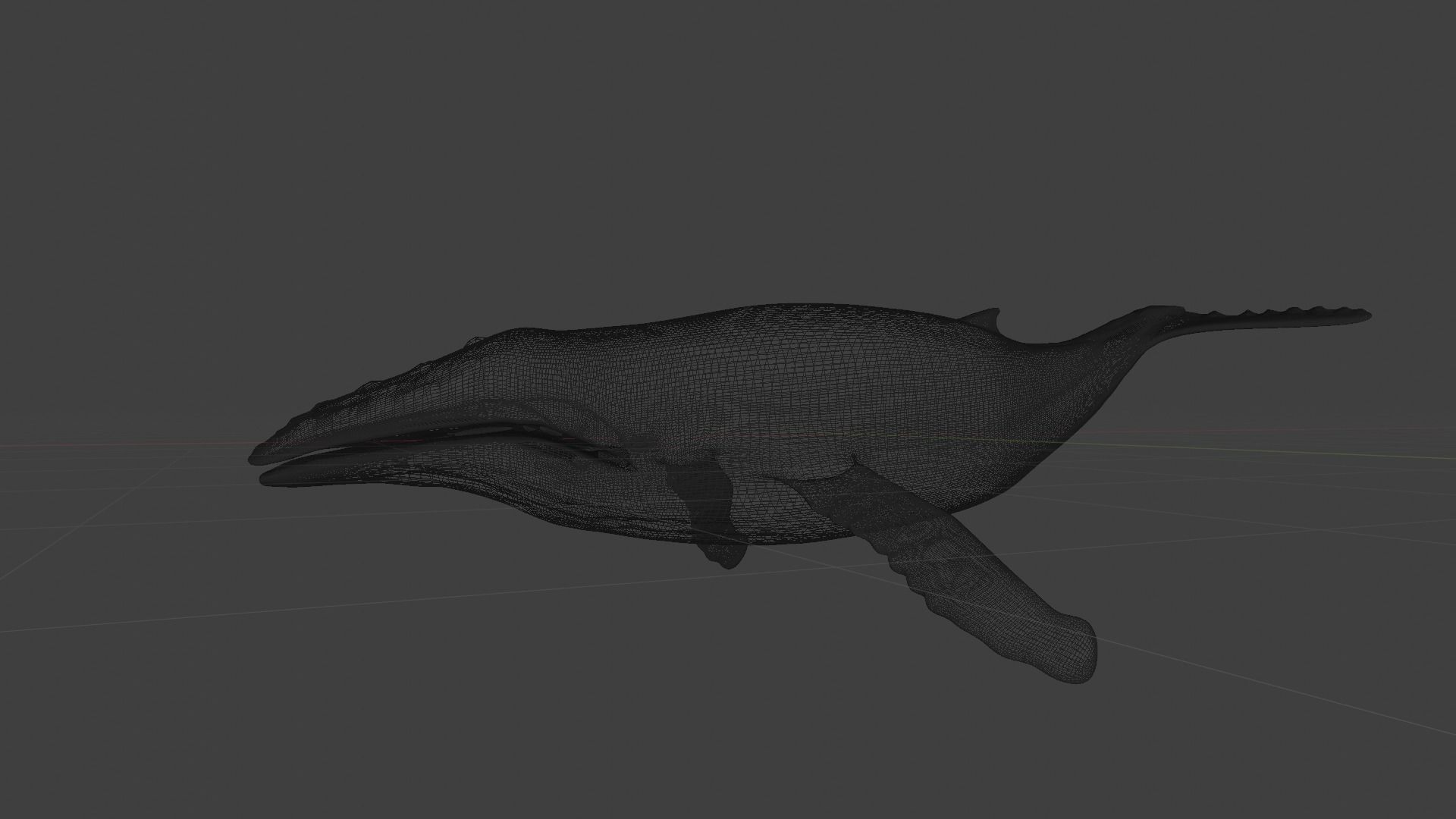 Humpback whale 3D model_2