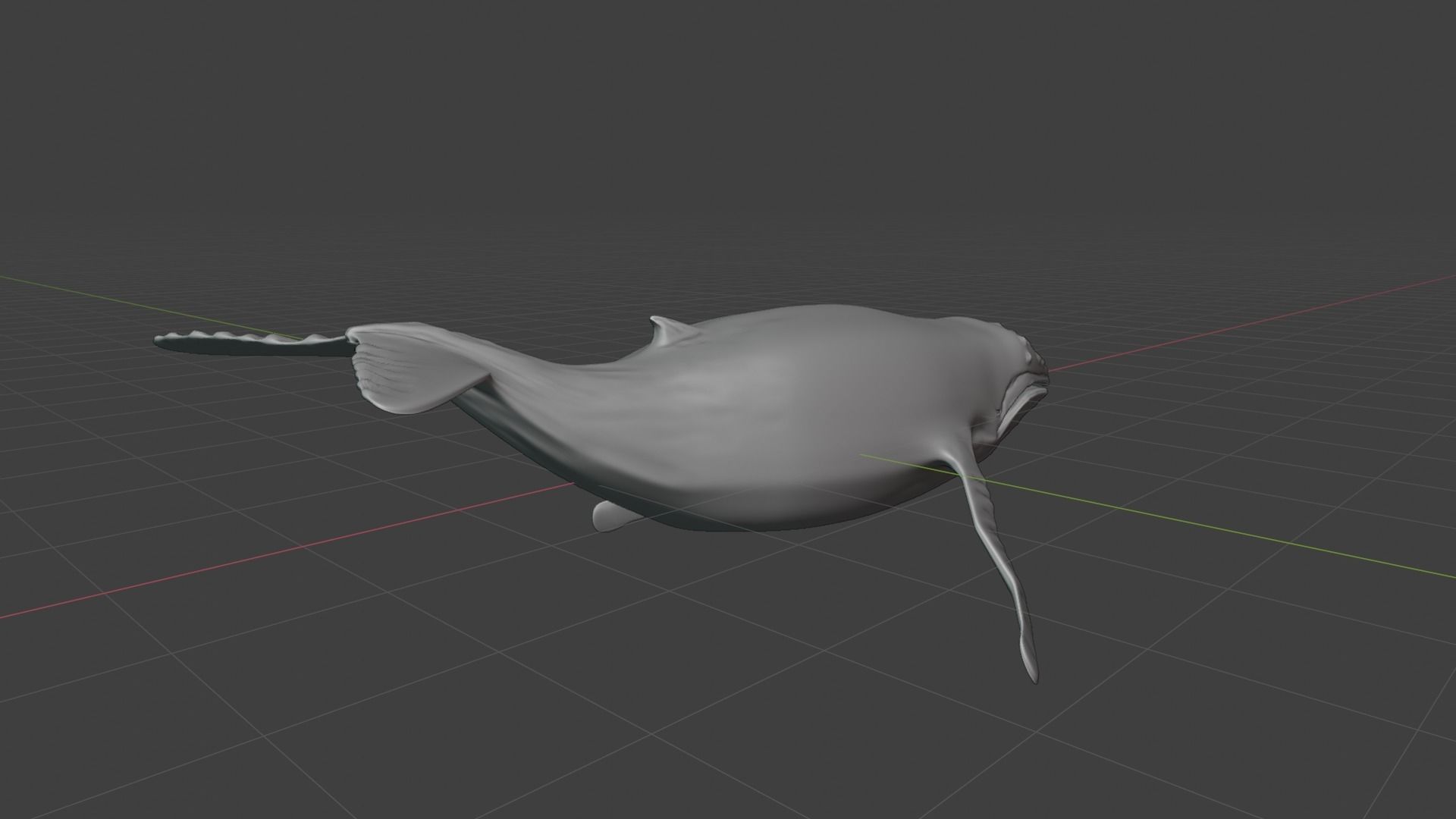 Humpback whale 3D model_3