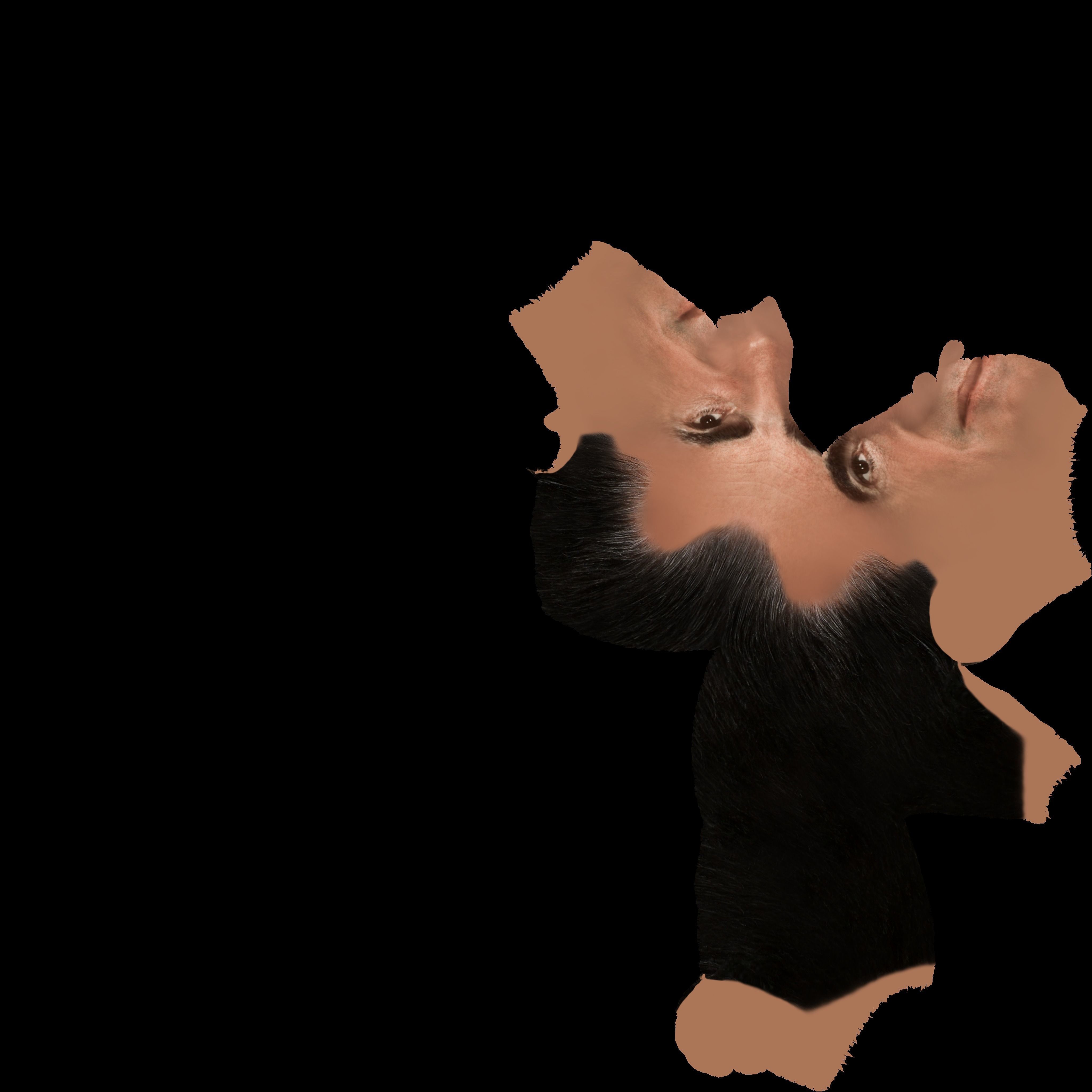 Richard Nixon 3D model_20