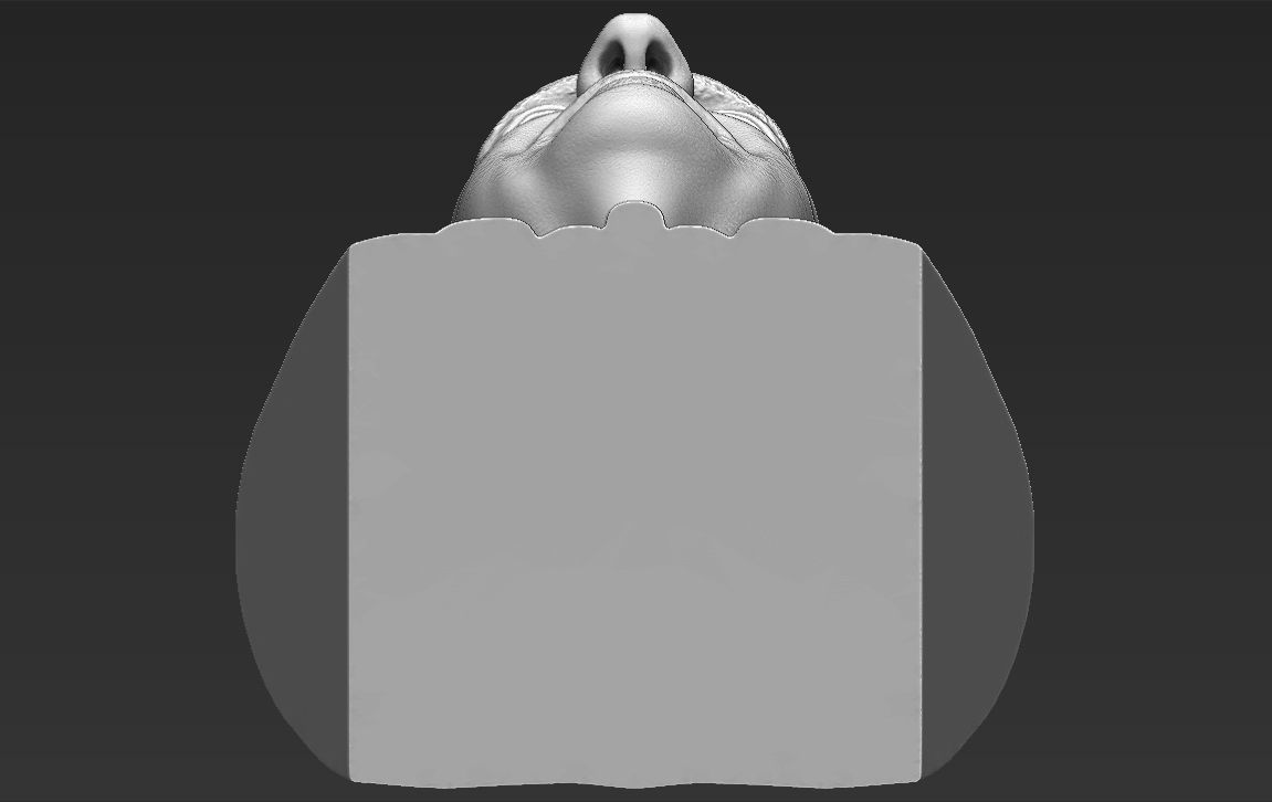 Richard Nixon bust ready for full color 3D printing 3D print model_42