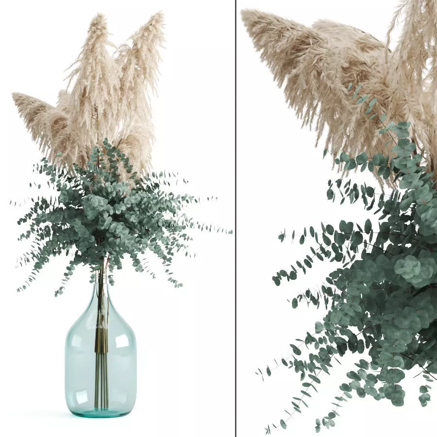Cortaderia Selloana And Eucalyptus In Bottle 3D model