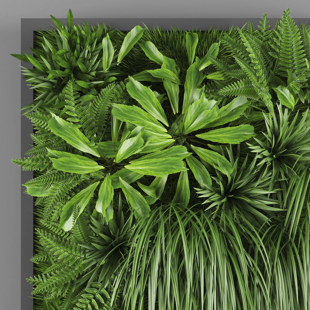 Vertical garden 21 Low-poly 3D model_2