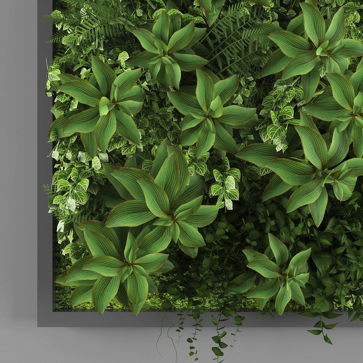Vertical garden 22 Low-poly 3D model_2