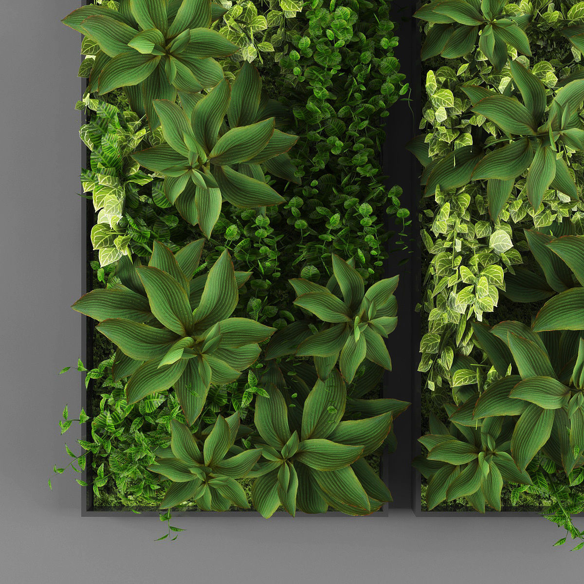 Vertical garden 23 Low-poly 3D model_1