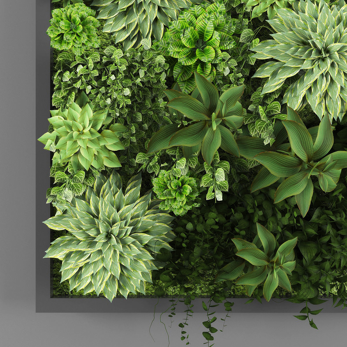 Vertical garden 29 3D model_1