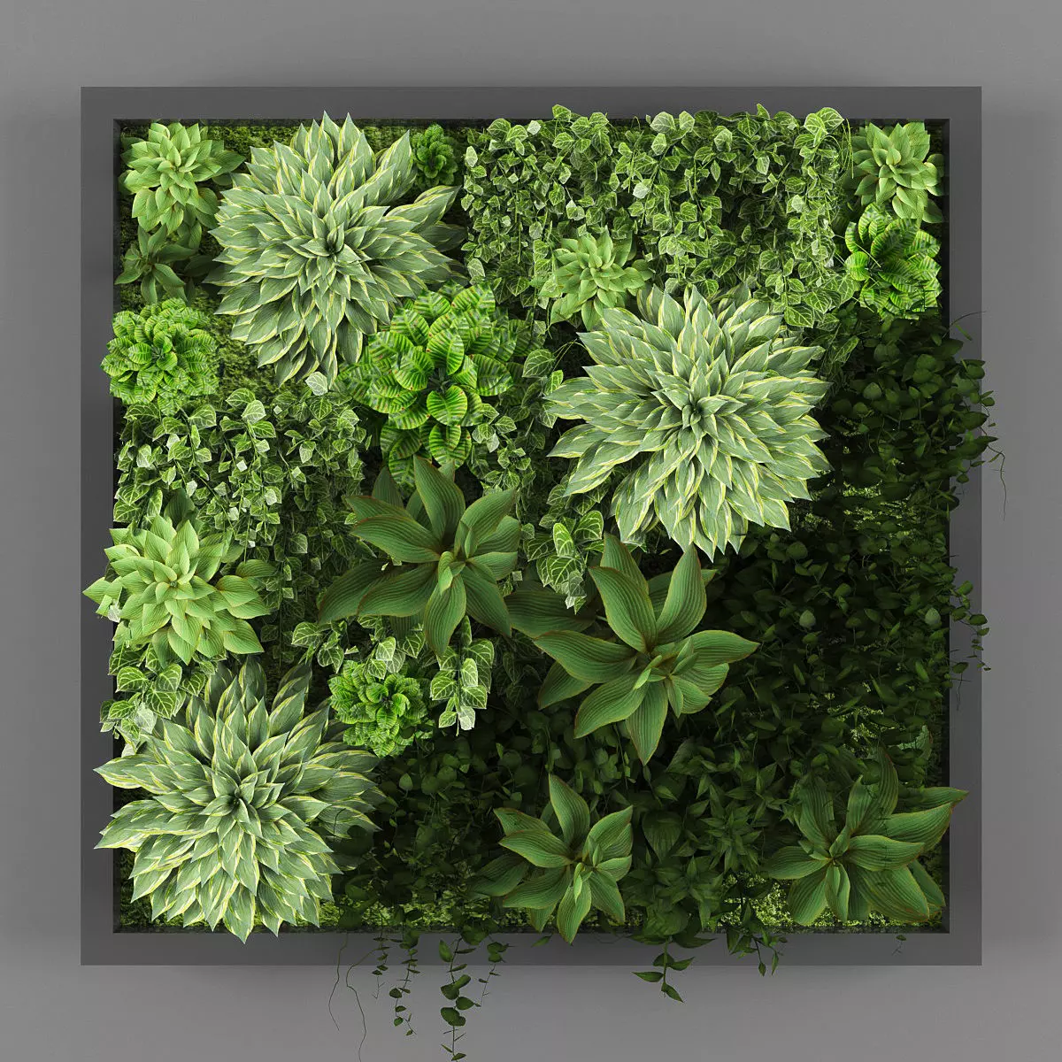 Vertical garden 29 3D model_0