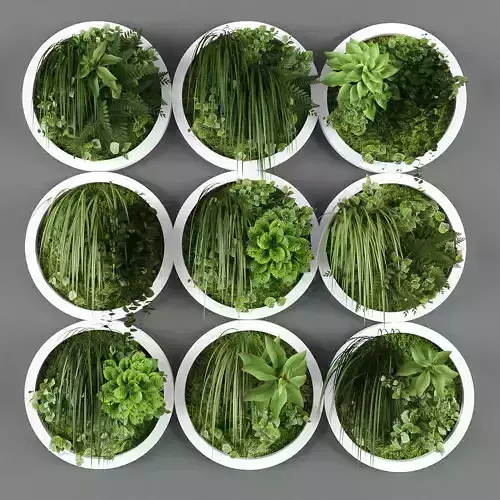 Vertical garden 30