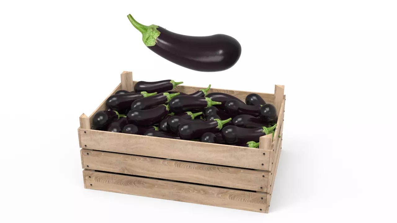 Aubergine Box 3D model_0