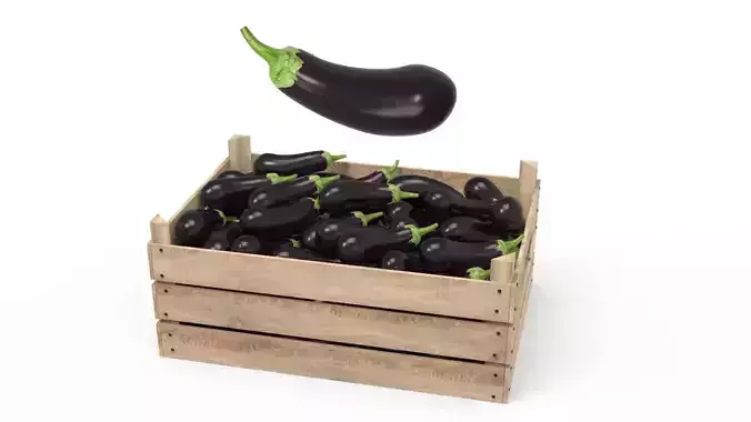 Aubergine Box 3D model
