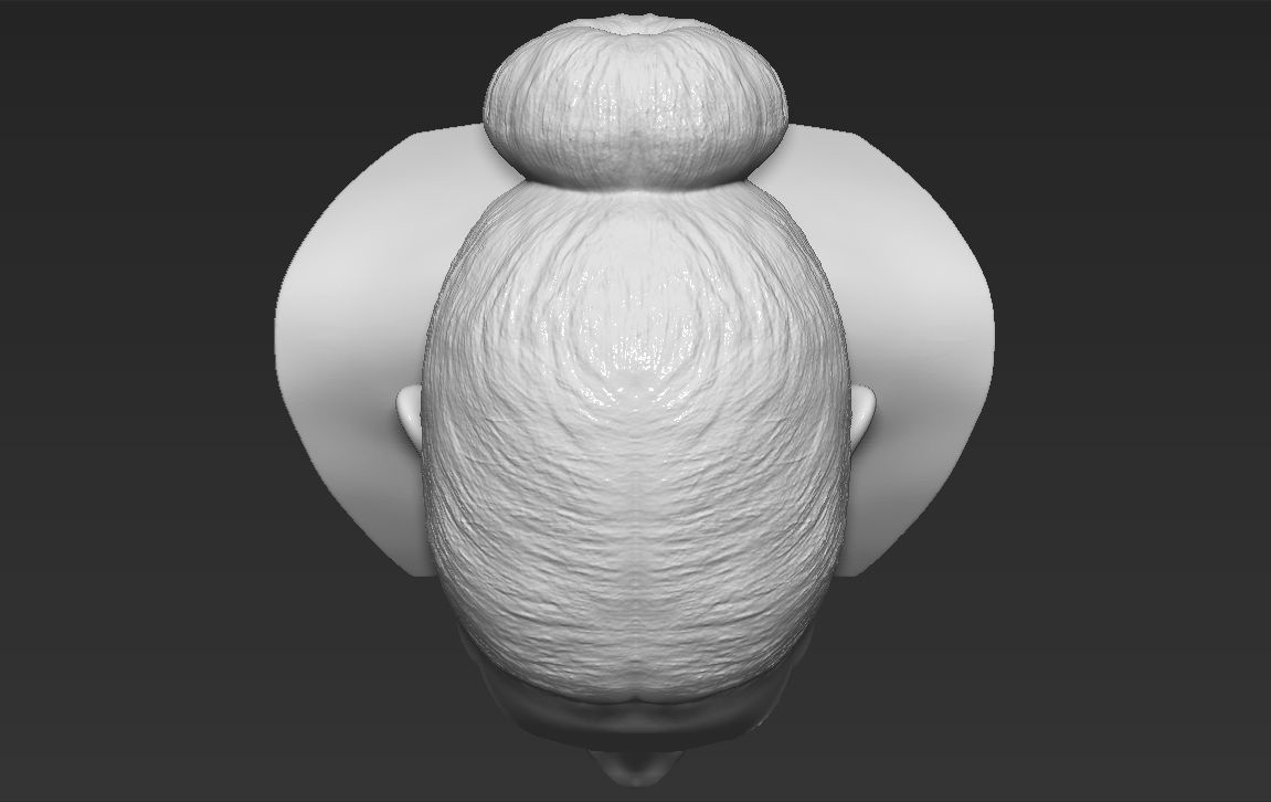 Michelle Obama bust 3D printing ready stl obj formats 3D print model_13