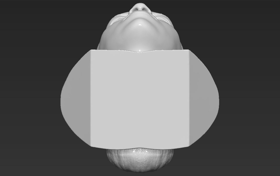 Michelle Obama bust 3D printing ready stl obj formats 3D print model_21