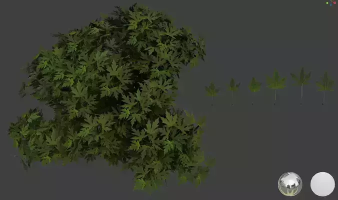 Maple 2 leaf 3D models