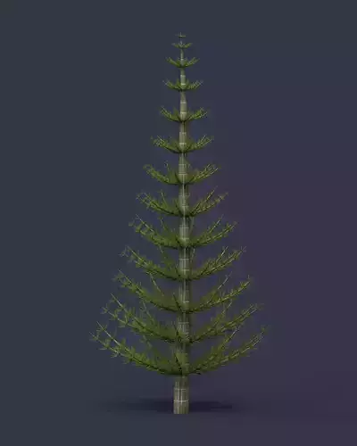 Calamites christmas tree 3D model