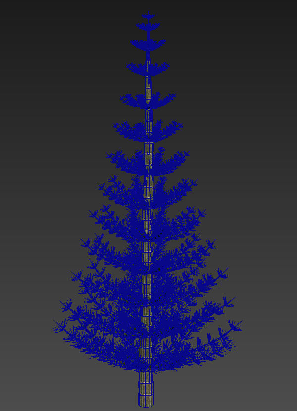 Calamites christmas tree 3D model_2