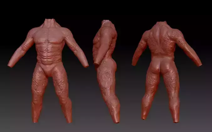predator torso 3D print model