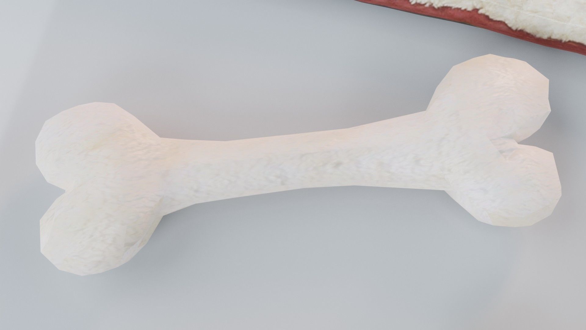 Dog Toy Asset - Game Ready Low-poly 3D model_11