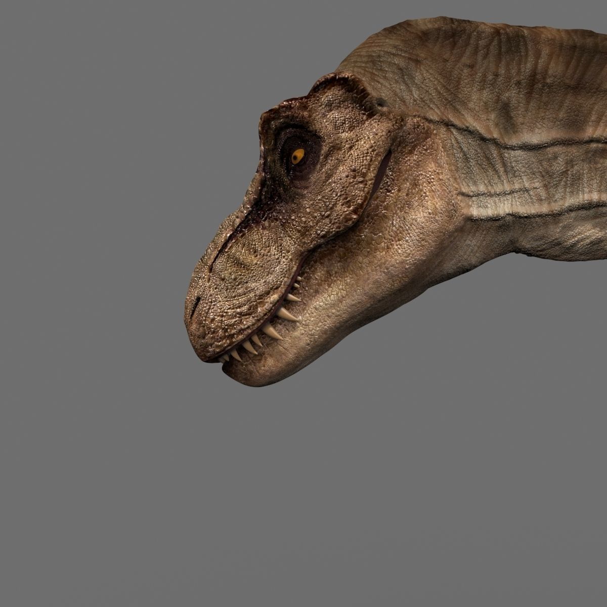 8K JP T REX 3D model_19