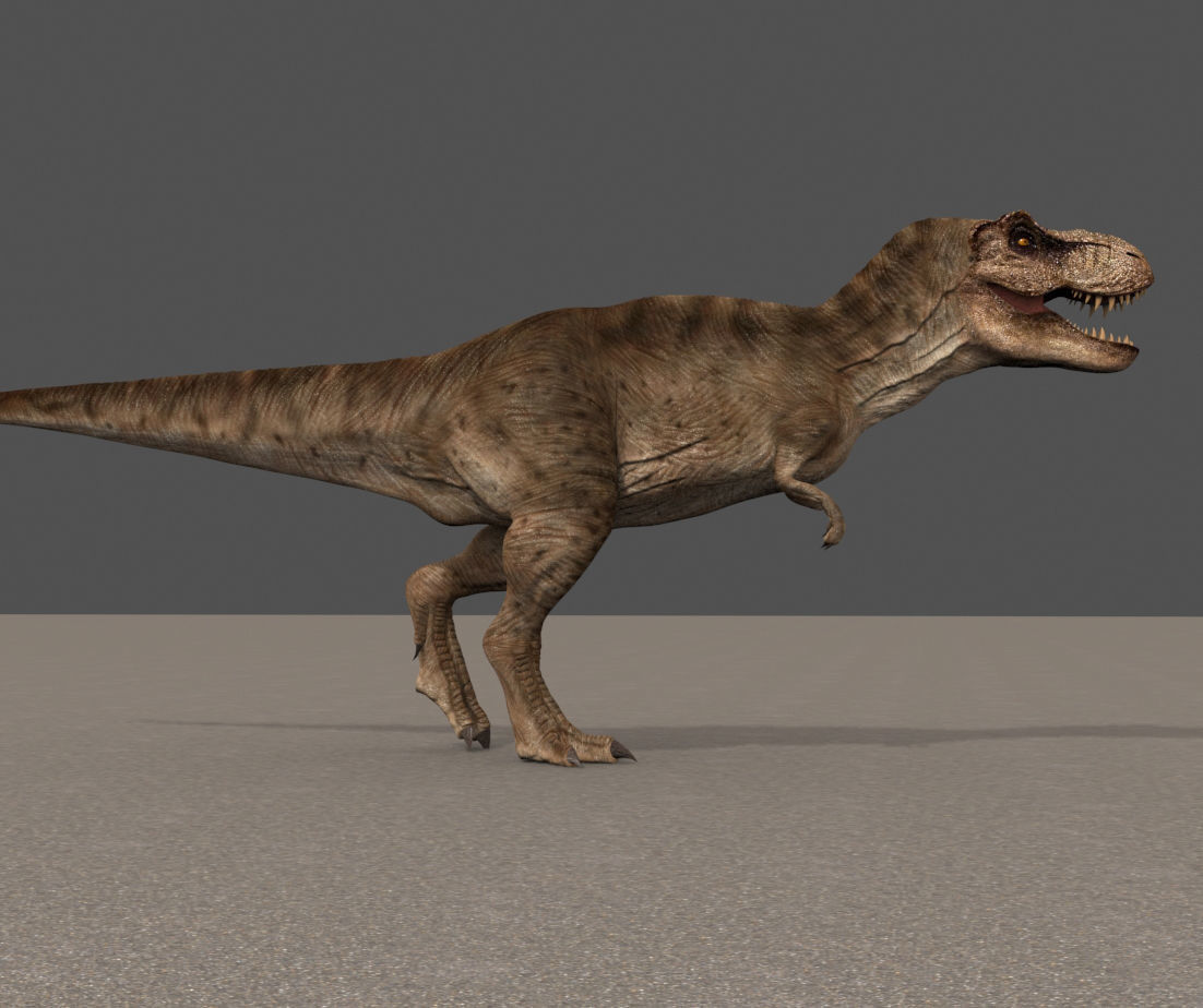 8K JP T REX 3D model_104