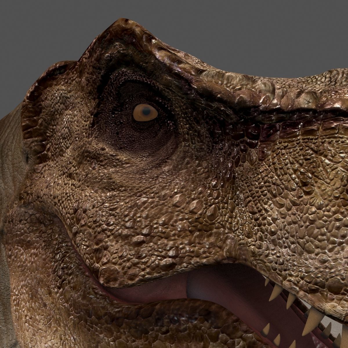 8K JP T REX 3D model_23