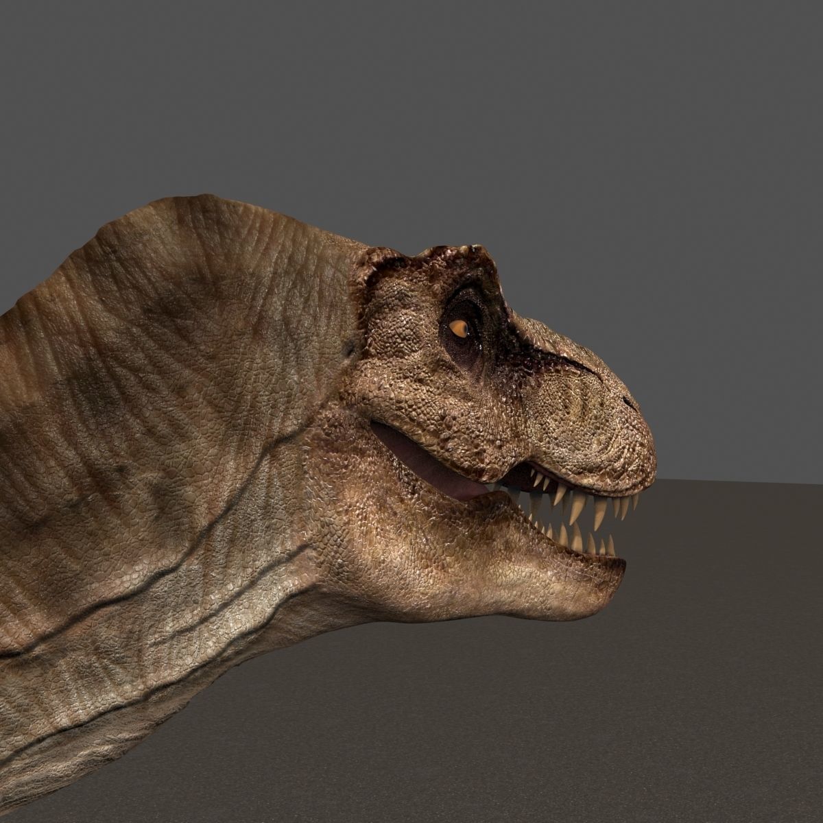 8K JP T REX 3D model_48