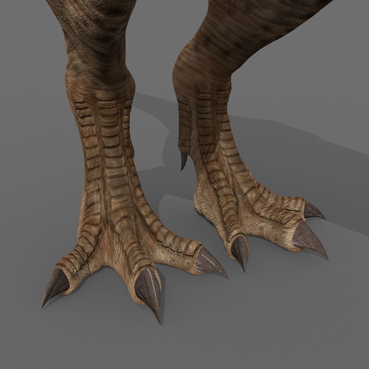 8K JP T REX 3D model_30