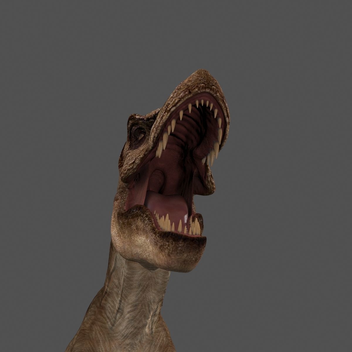 8K JP T REX 3D model_24