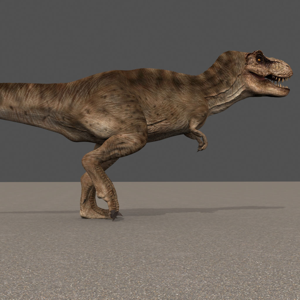 8K JP T REX 3D model_91